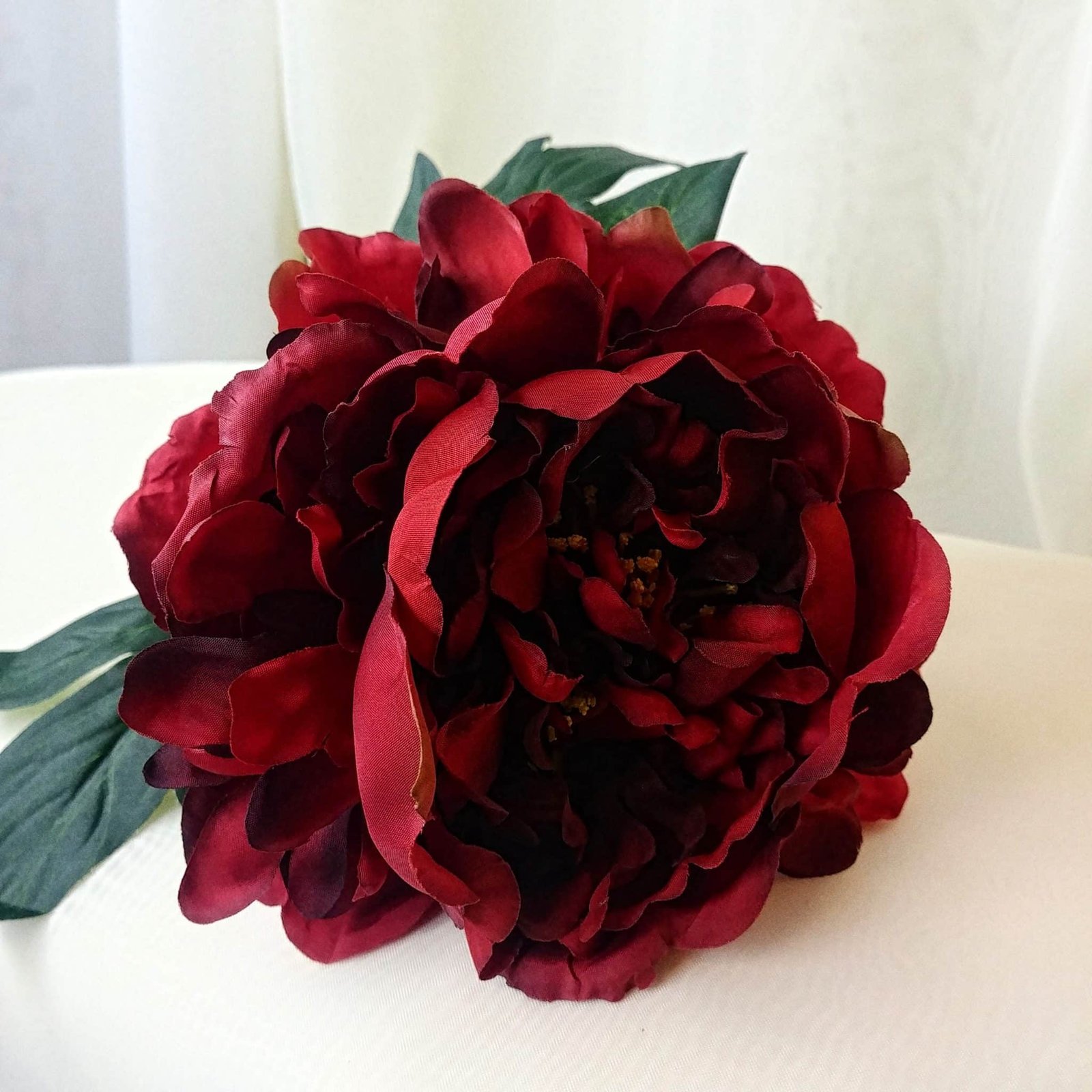 Red Silk Single Stem Peony Calgary Event Wholesale