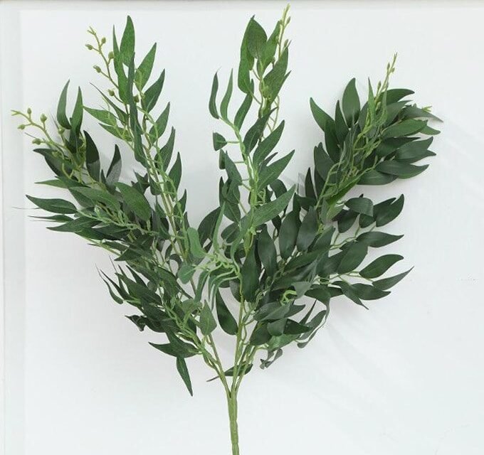 Italian Ruscus Bunch