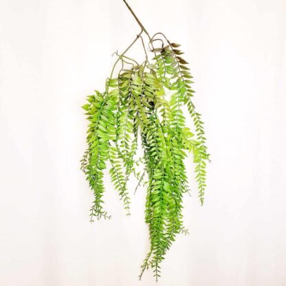 Green Fern Branch 1