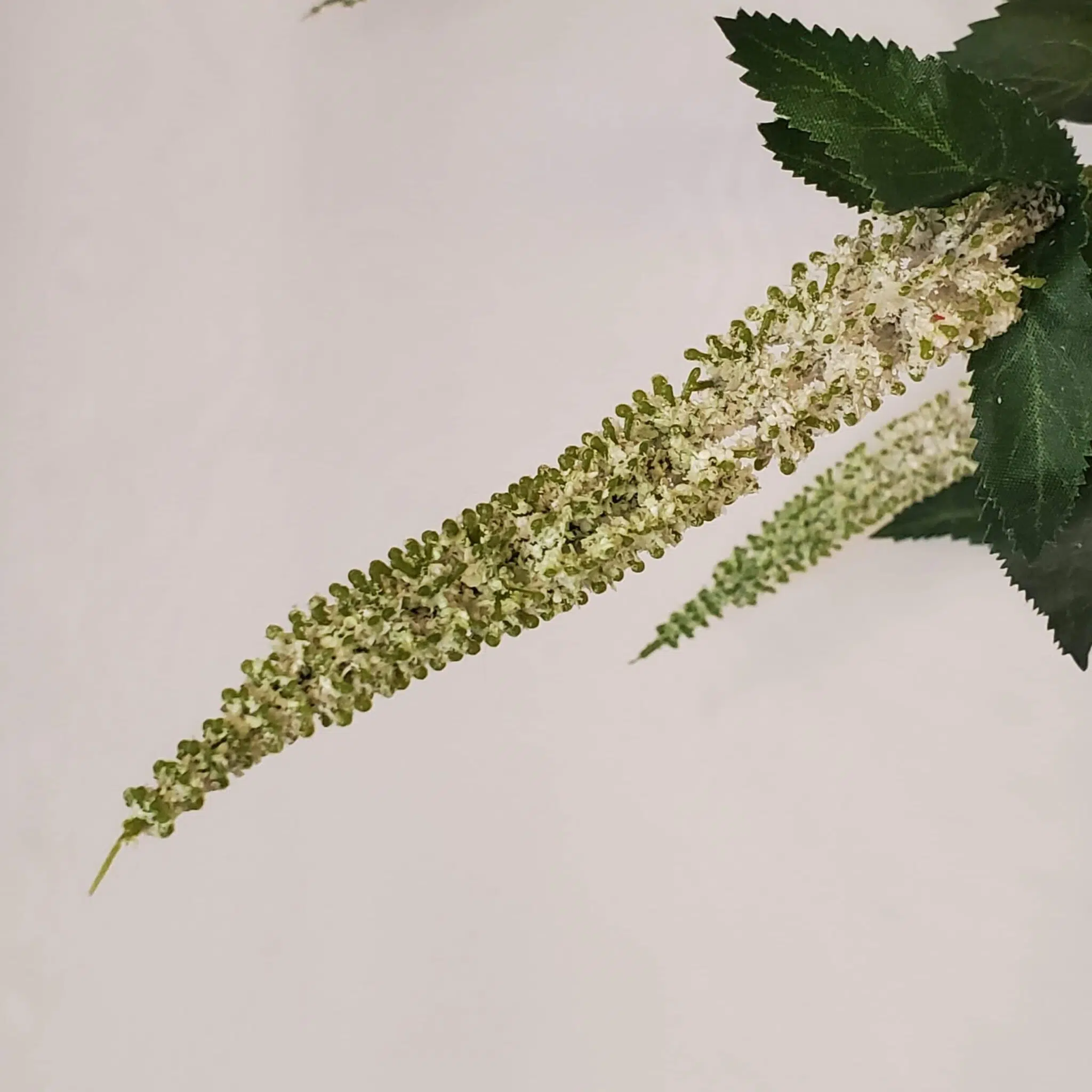 81cm White Veronica - Image 3