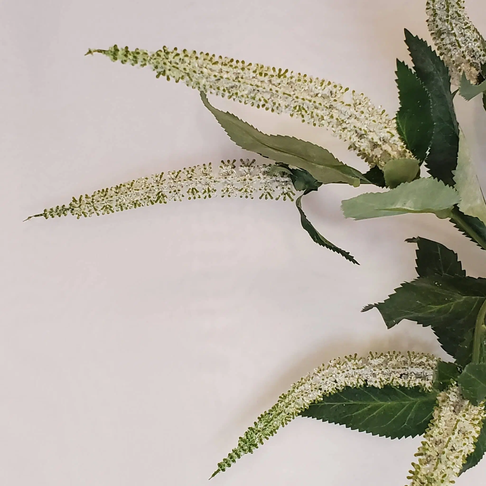 81cm White Veronica - Image 2