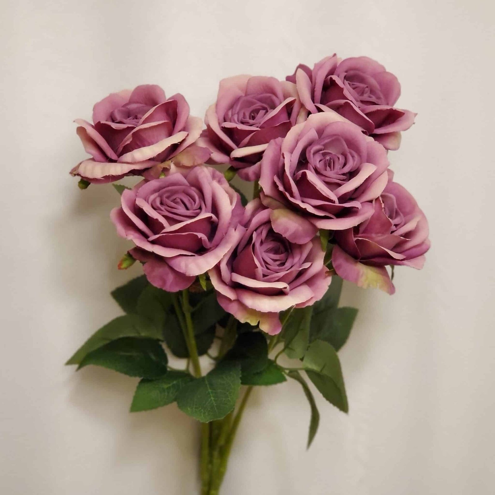 Roses Calgary Event Wholesale