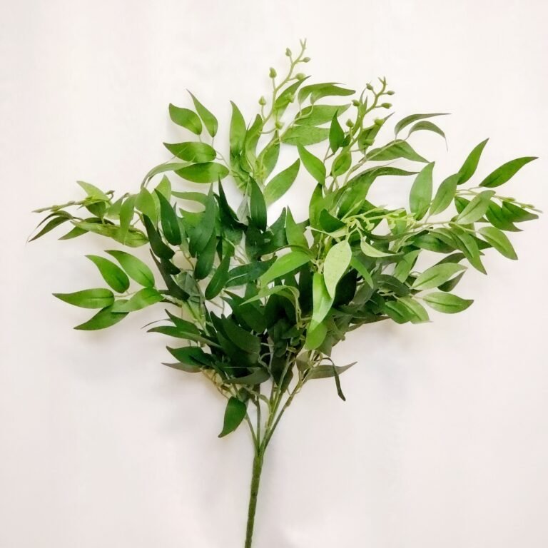 50cm Dark Green Italian Ruscus Bunch | Calgary Event Wholesale Wedding ...