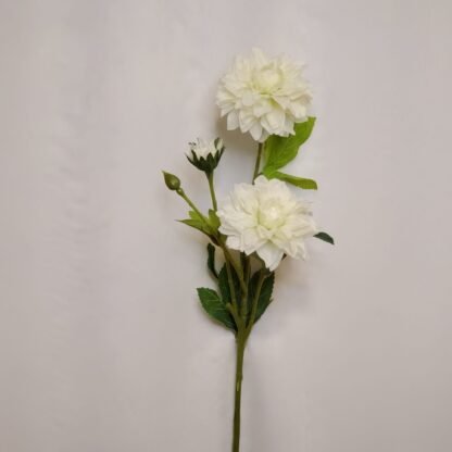 White Single Stem Dahlia 1