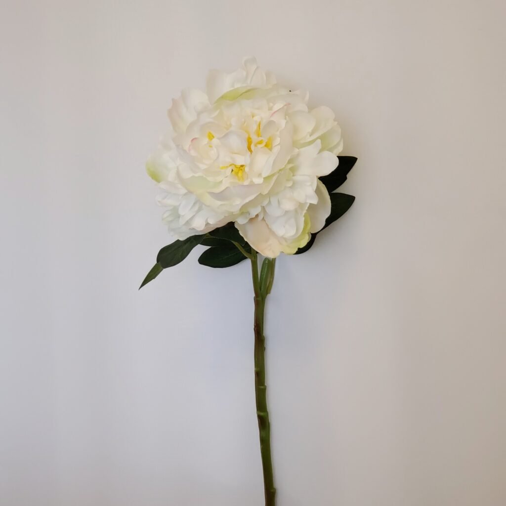 60cm White Silk Single Stem Peony Calgary Event Wholesale