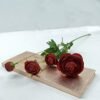 Red Rananculus