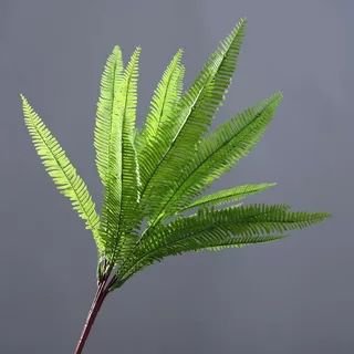 fern from cassiel