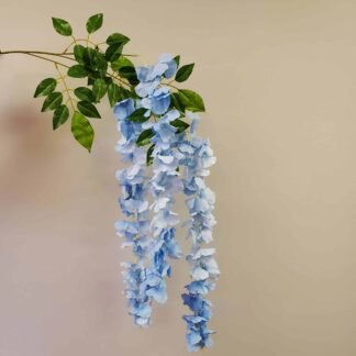 White Wisteria