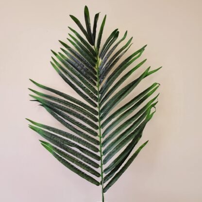 Palm leaf