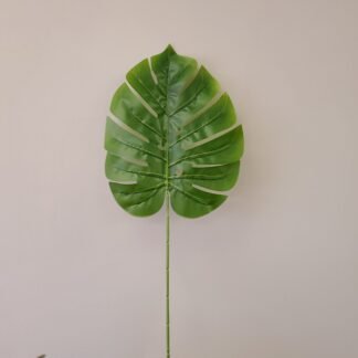 Lg Monstra Leaf
