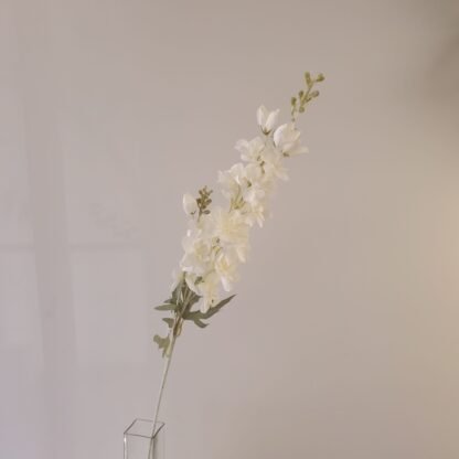 White Delphinium