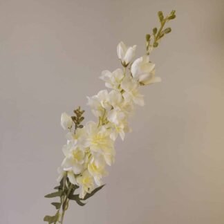 White Delphinium