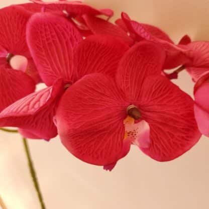 9 Bloom Fuchsia Single Stem Real Feel Orchid 1