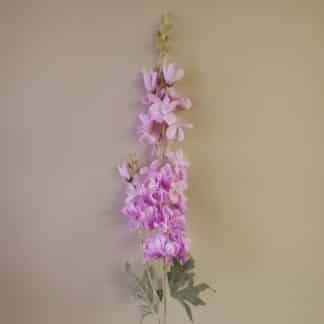 Lavender Delphinium