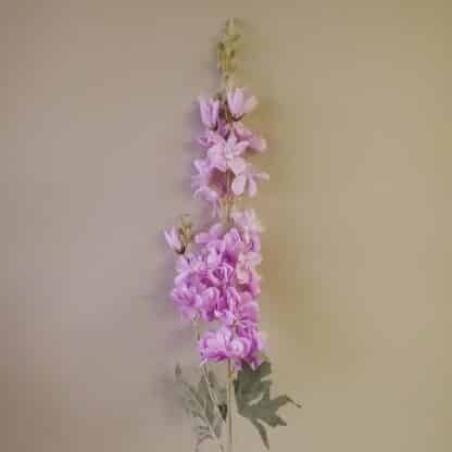 Lavender Delphinium