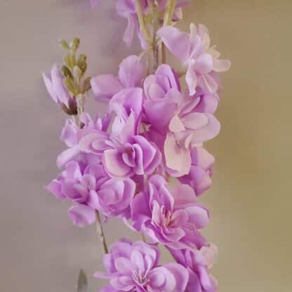 Lavender Delphinium