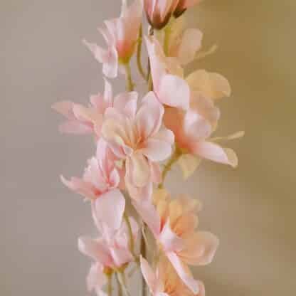 80cm Light Pink Delphinium 1