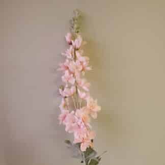 Pink Delphinium