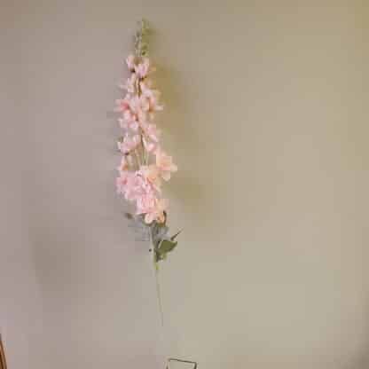 Pink Delphinium