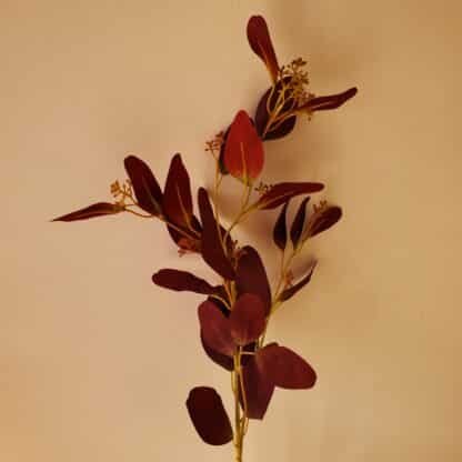 Red Seeded Eucalyptus Branch 90cm 2