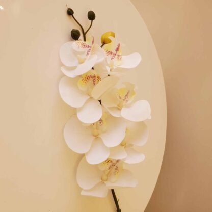 79cm 7 Small Bloom White Single Stem Orchid 1