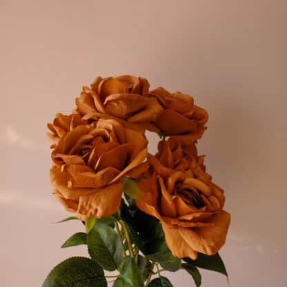 7 Head Toffee Rose Bunch 1