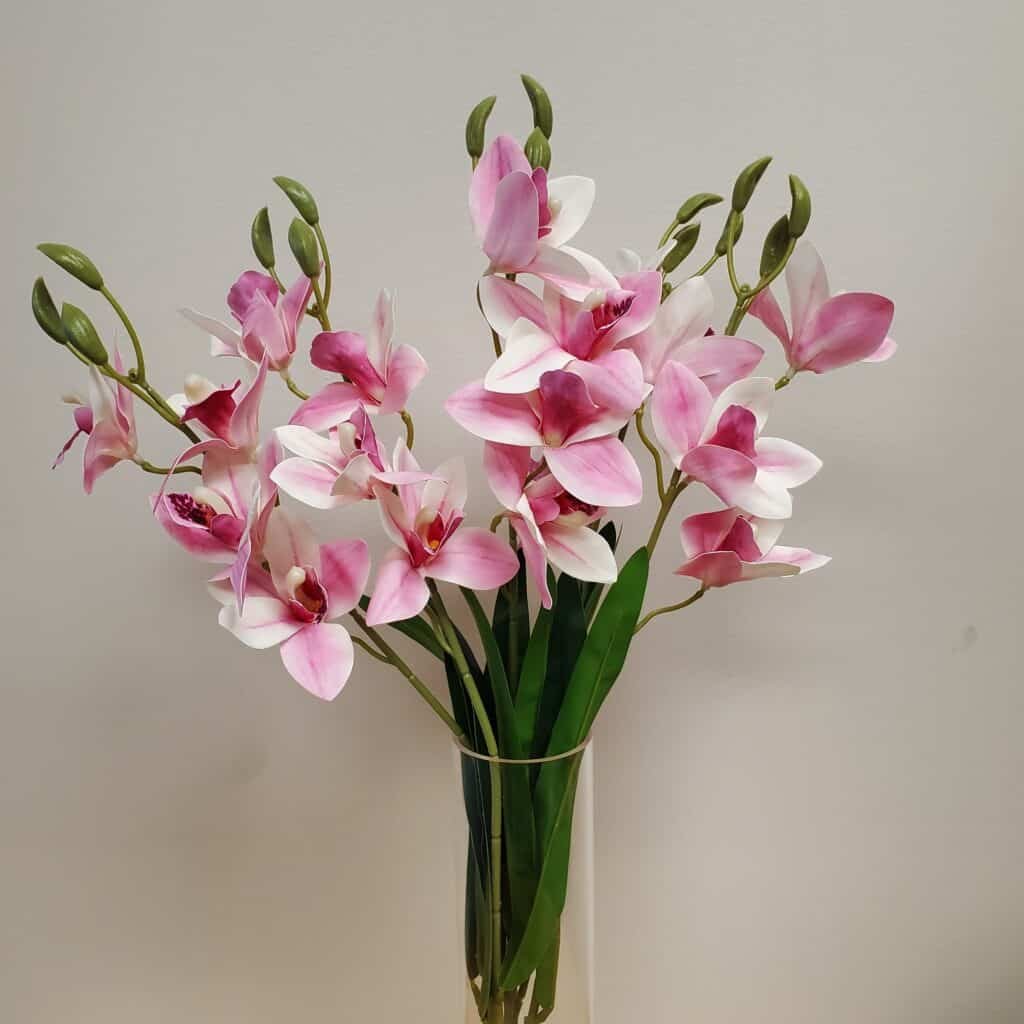 20 Head Light Pink Orchid Bunch Calgary Event Wholesale Wedding And