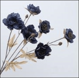 Dark Blue Poppy