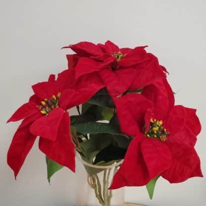 5 head red poinsettia bunch