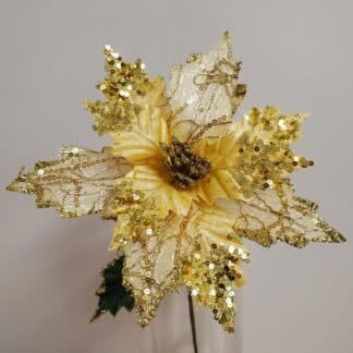 Fancy Gold Poinsettia