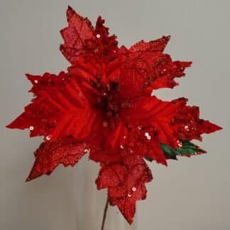 Fancy Red Poinsettia