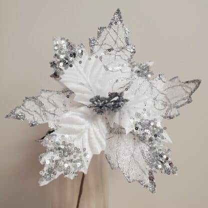 Fancy Silver Poinsettia