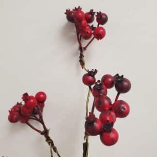 Red Berry Branch