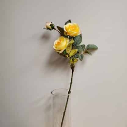 3 Head Yellow Single Stem Rose 1