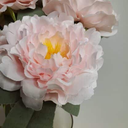 pink open peony