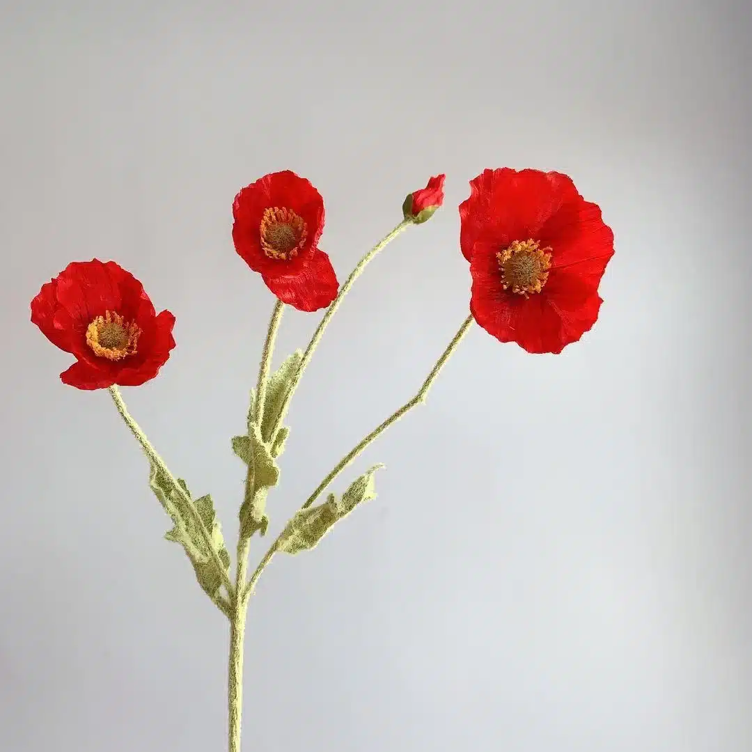 BRIGHT-RED-POPPY