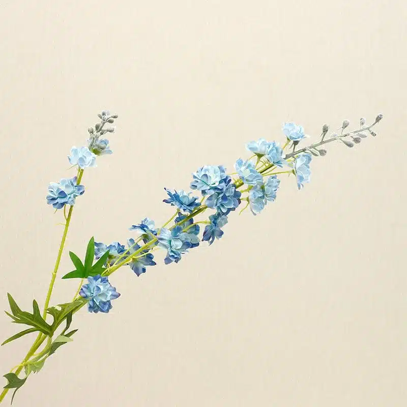 Blue-Delphinium