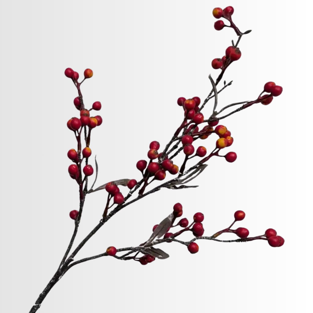 Category - Berries
