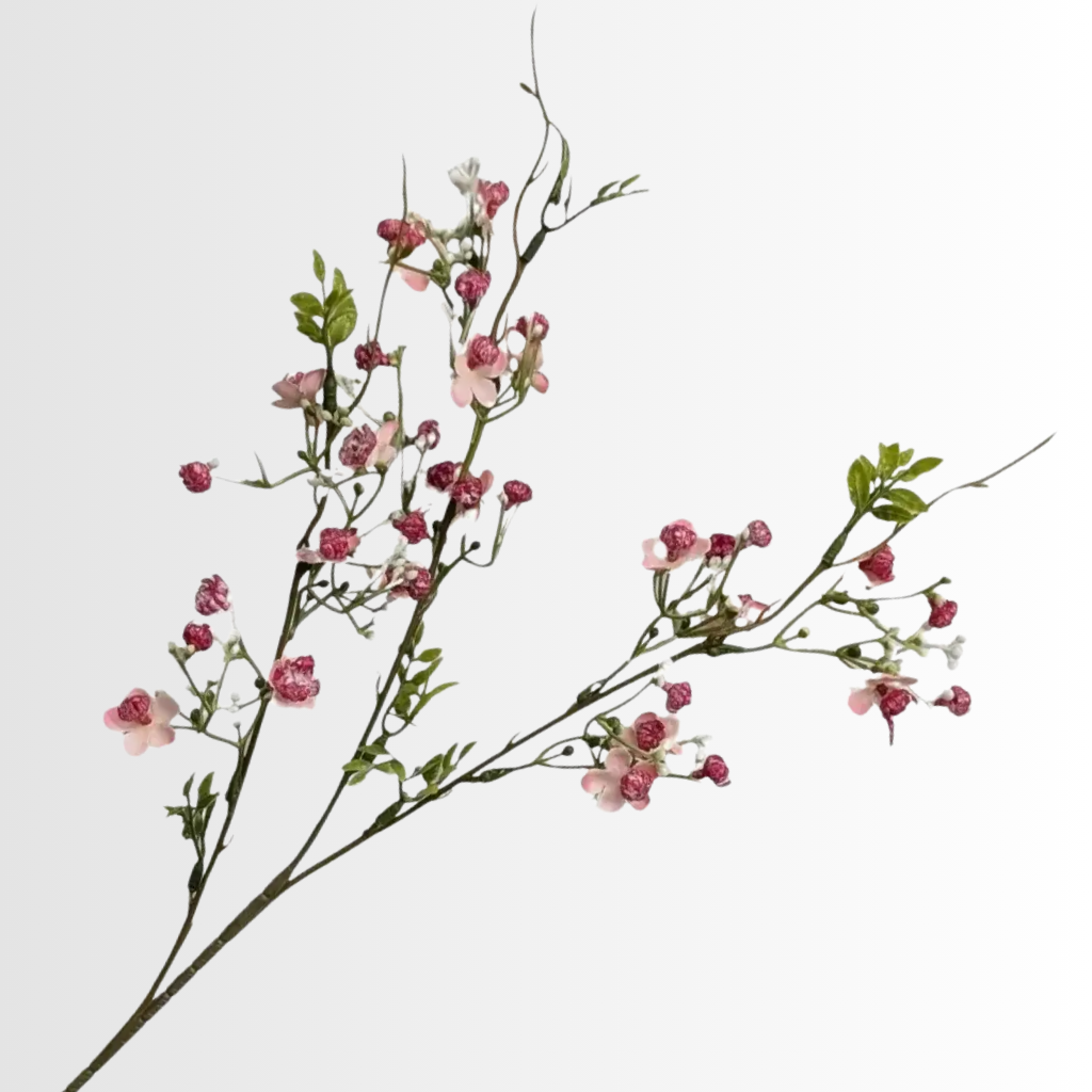 Category - Blossoms