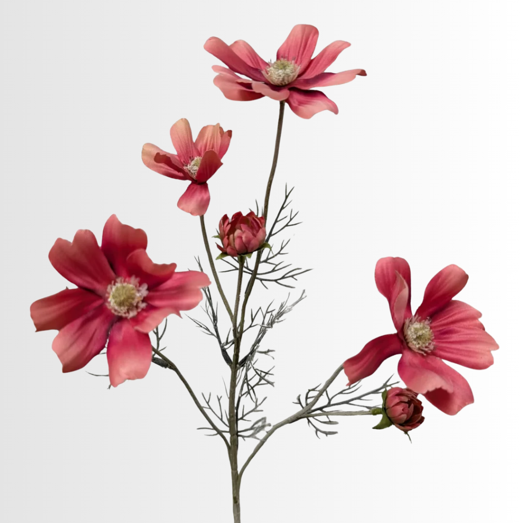 Category - Daisy