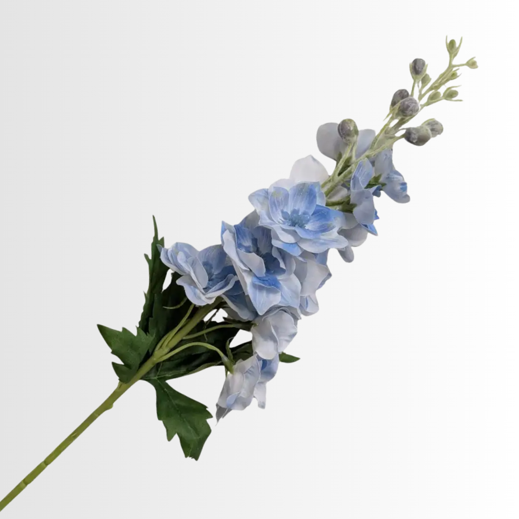 Category - Delphinium