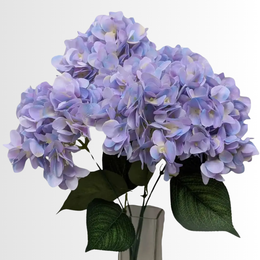 Category - Hydrangea