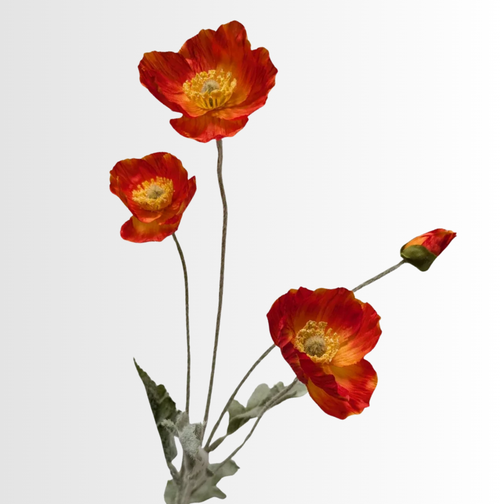 Category - Poppies