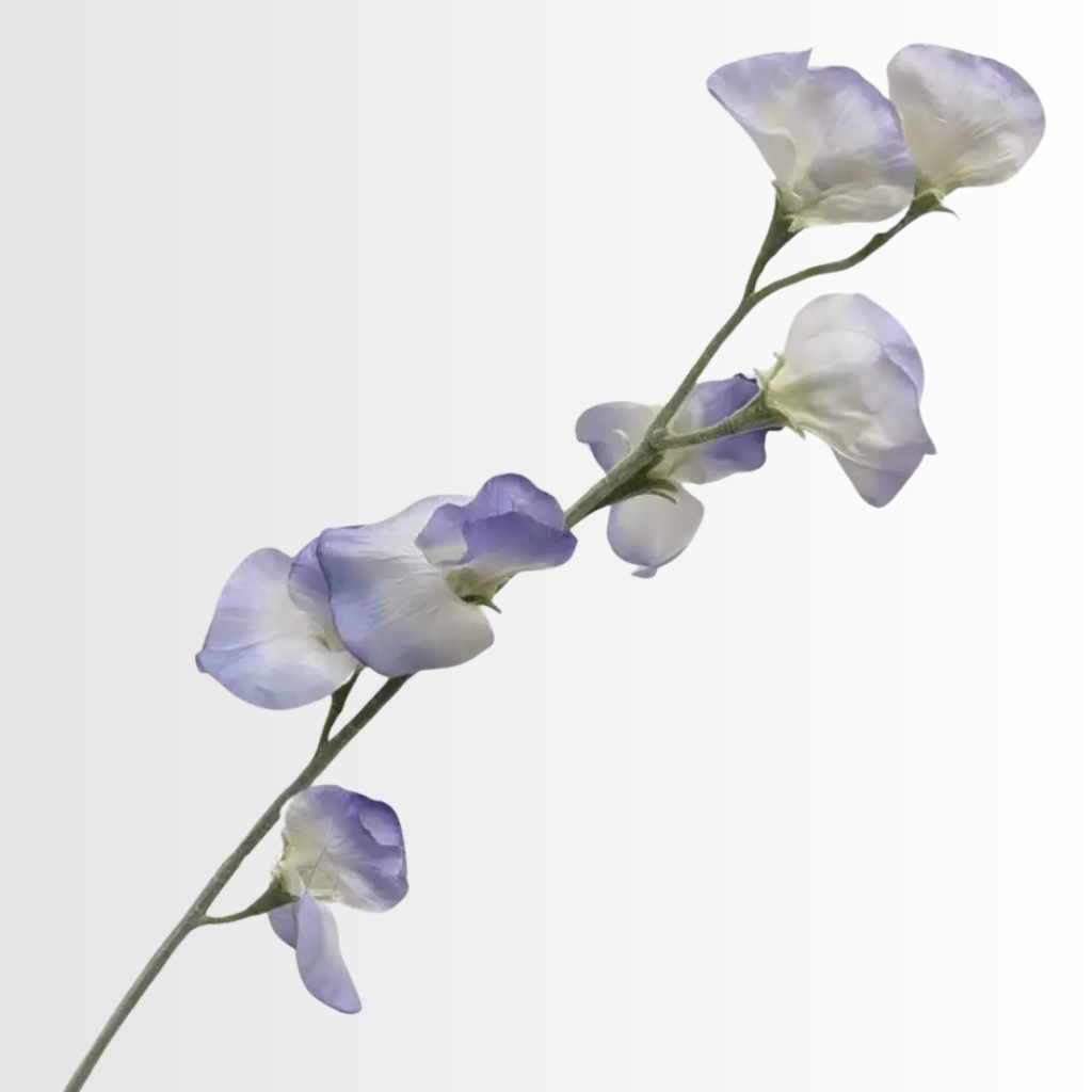 Category - Sweetpea