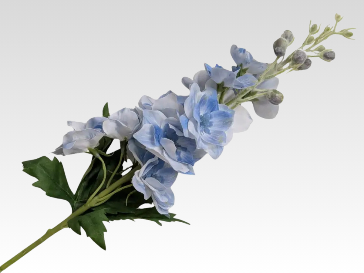 Delphinium Category