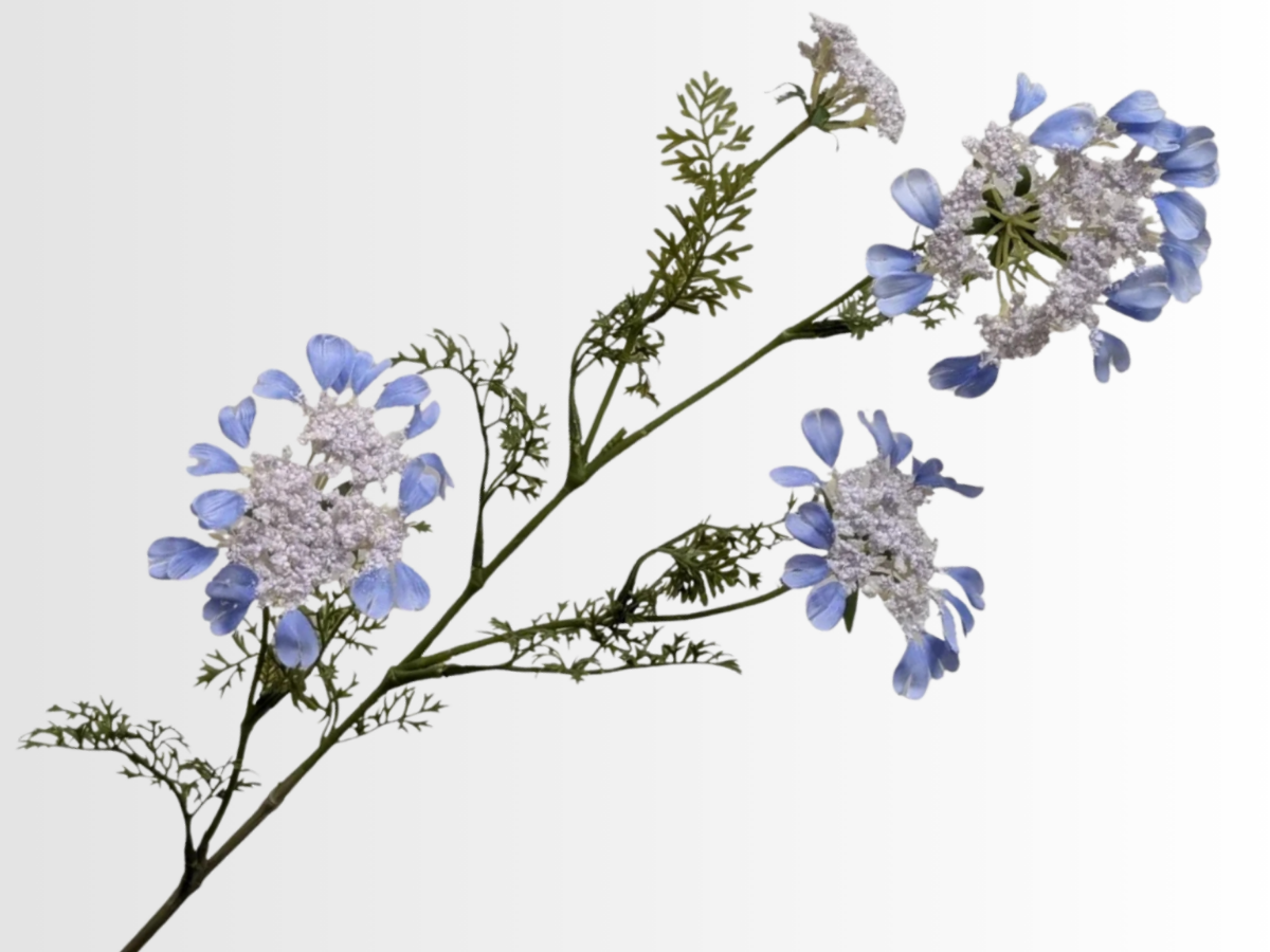 Lace Flower Category