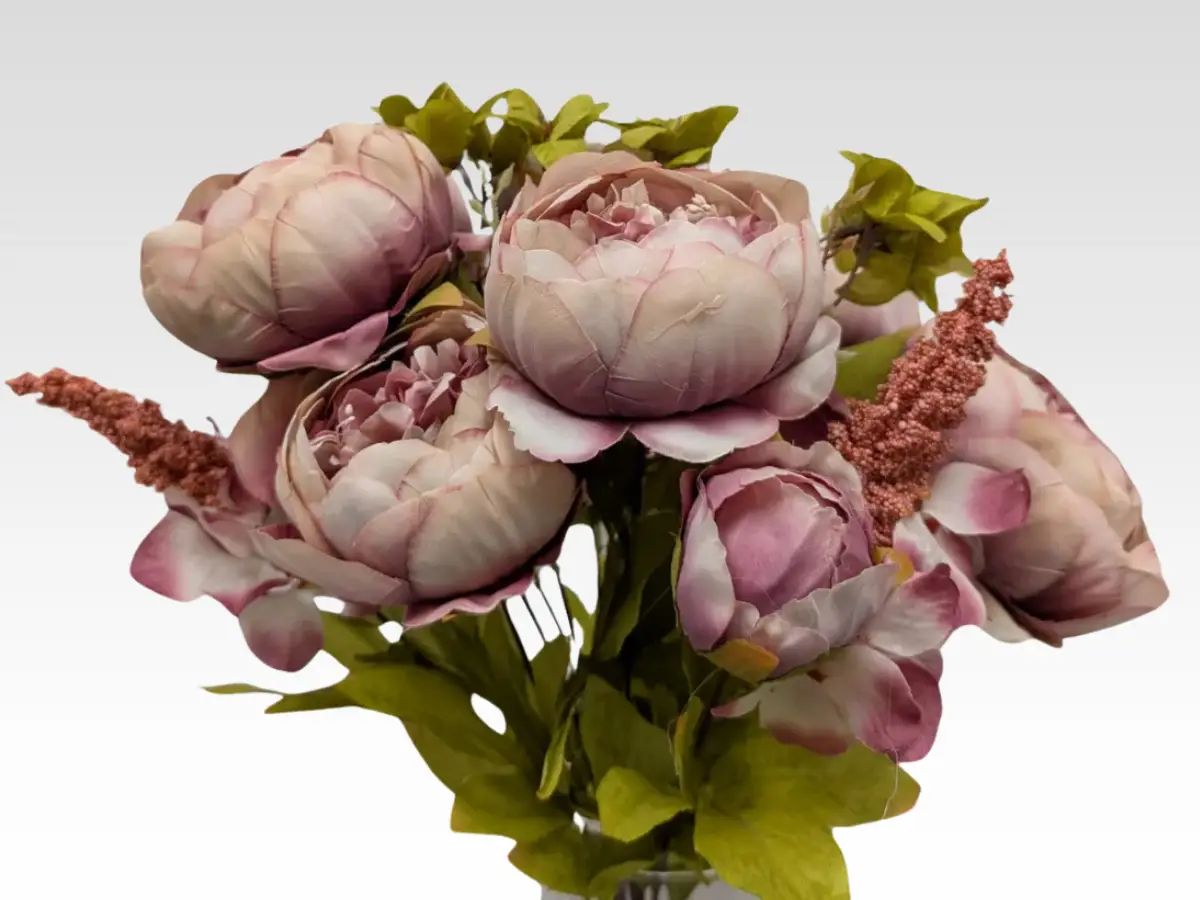 NEW Peony category pic