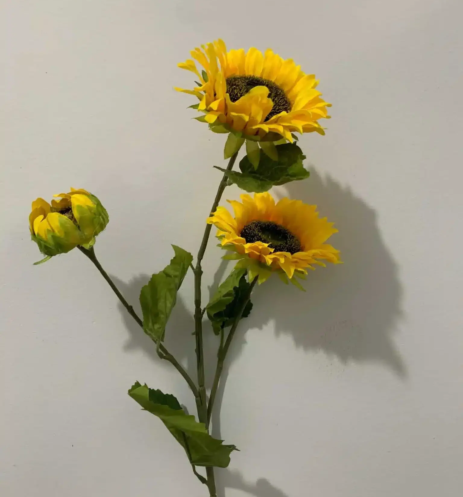 Yellow-Sunflower-non-flocked-scaled