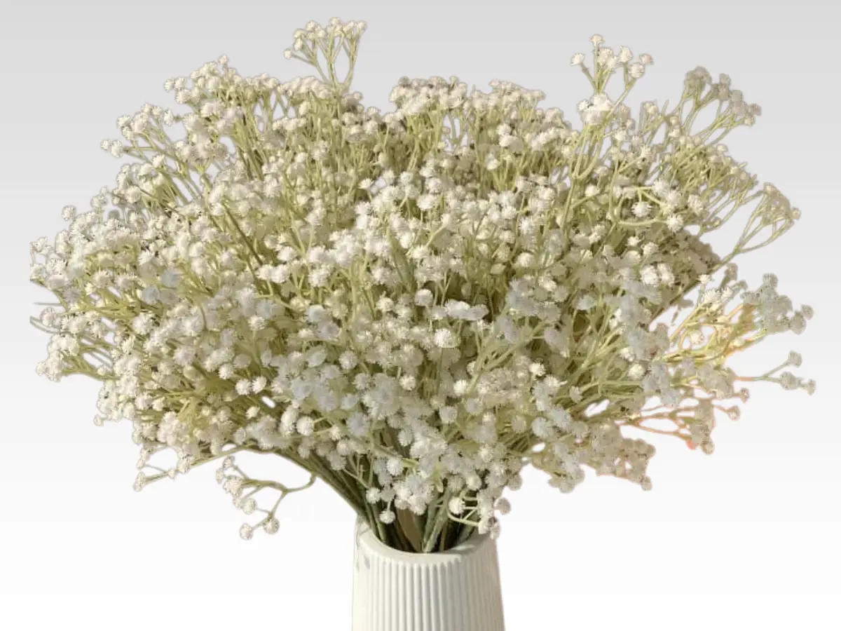 babiesbreath bunch category