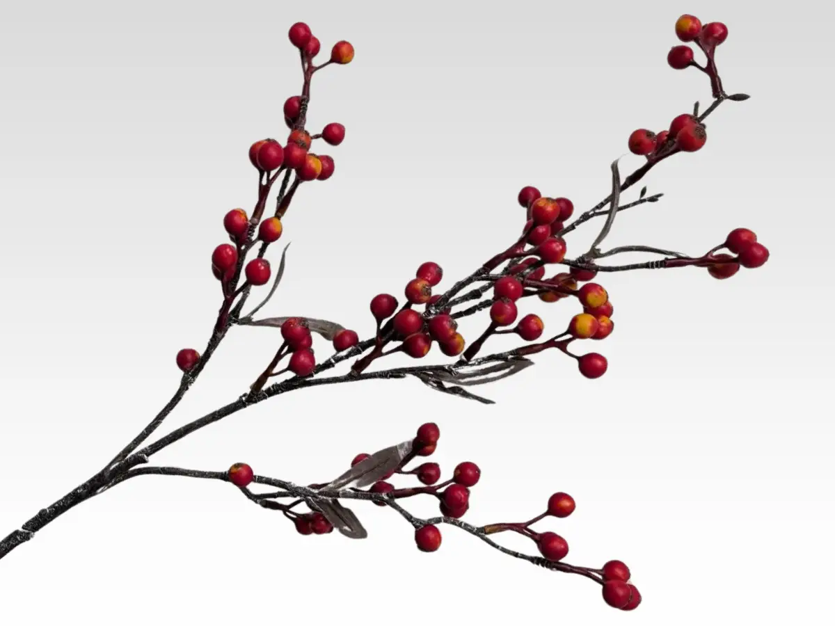 berries and branches category pic